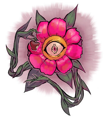 Carnation (Grace)